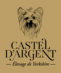 castel-argent-logo-noir-or