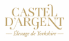 castel-argent-logo-or-sticky